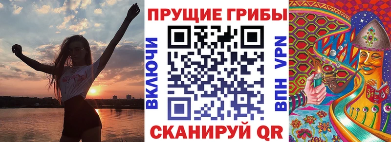 Псилоцибиновые грибы мухоморы  Купить закладки  Жердевка 